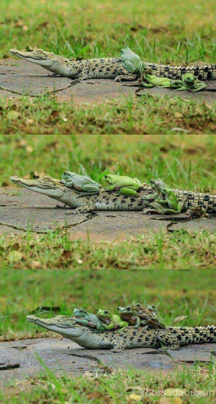 Günün en çok paylaşılan fotoğrafları
