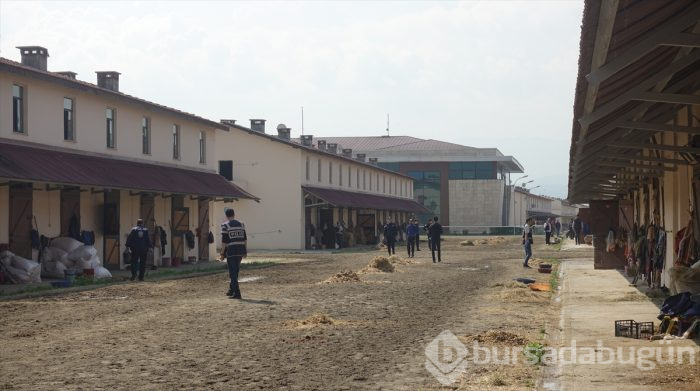 Bursa Osmangazi Hipodromu'na 900 polisle baskın!	