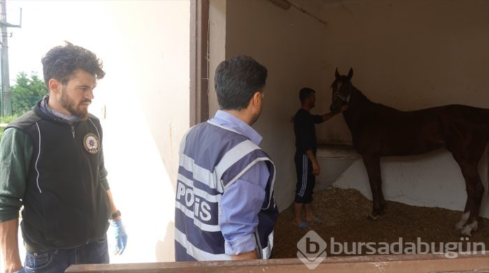 Bursa Osmangazi Hipodromu'na 900 polisle baskın!	