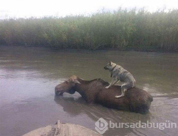 Anlamsız fotoğraflar