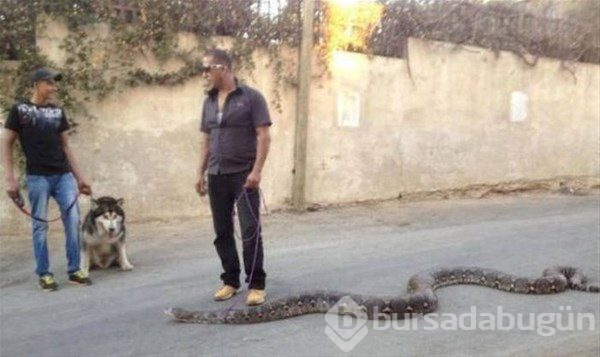Anlamsız fotoğraflar