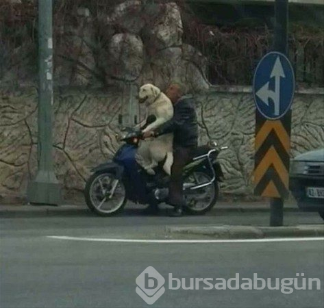 Anlamsız fotoğraflar