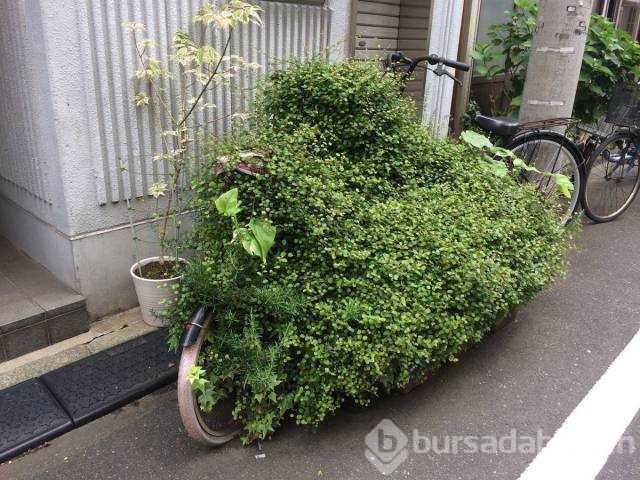 Günün en çok paylaşılan fotoğrafları