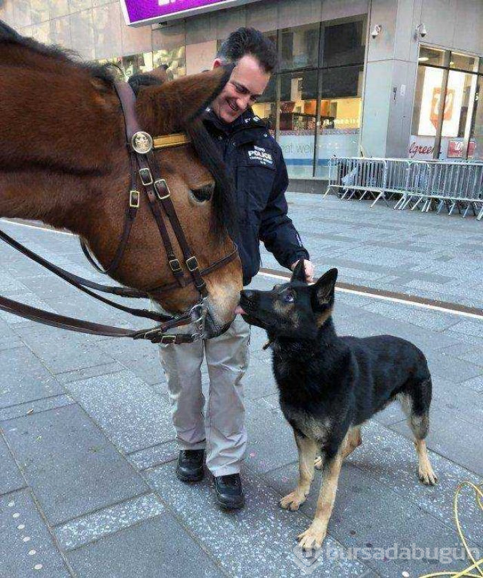 Günün en çok paylaşılan fotoğrafları