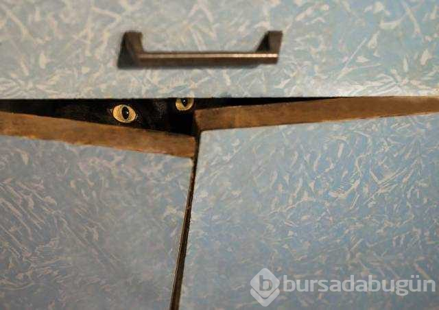 Günün en çok paylaşılan fotoğrafları
