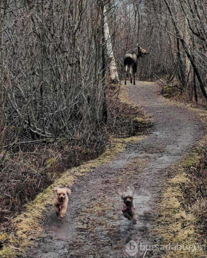 Günün en çok paylaşılan fotoğrafları