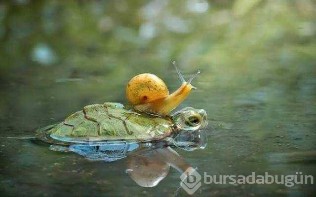 Günün en çok paylaşılan fotoğrafları