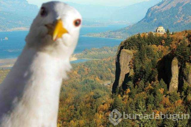 Günün en çok paylaşılan fotoğrafları