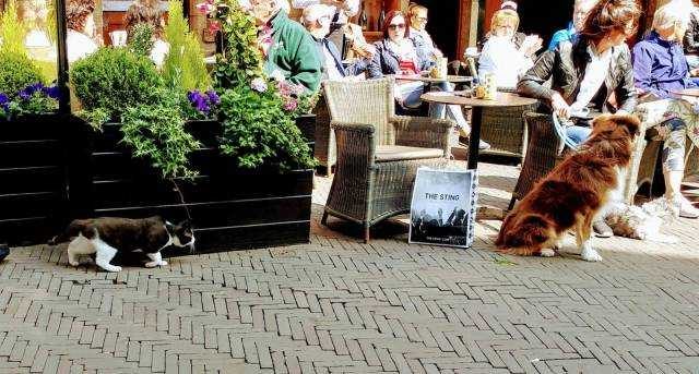 Günün en çok paylaşılan fotoğrafları