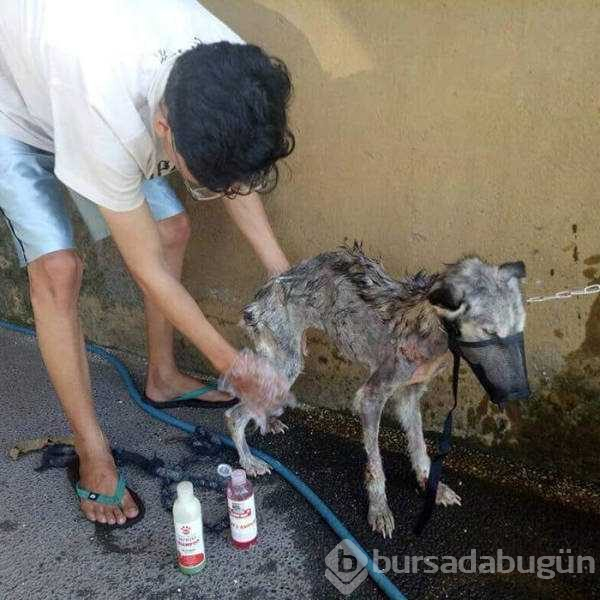 insanlık ölmemiş dedirten kareler