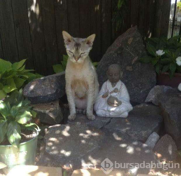 Günün en çok paylaşılan fotoğrafları
