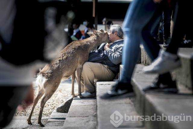 Günün en çok paylaşılan fotoğrafları
