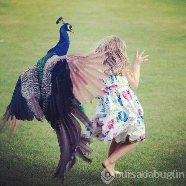 Günün en çok paylaşılan fotoğrafları
