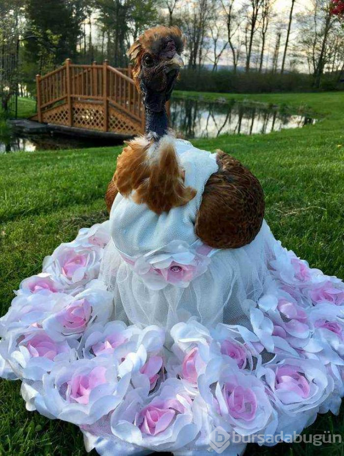 Günün en çok paylaşılan fotoğrafları
