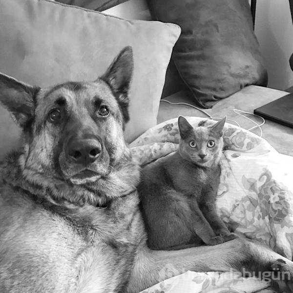 Günün en çok paylaşılan fotoğrafları
