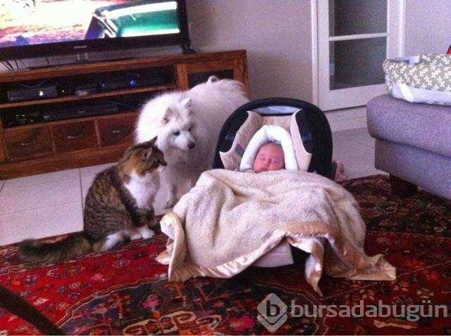 Günün en çok paylaşılan fotoğrafları
