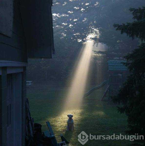 Günün en çok paylaşılan fotoğrafları
