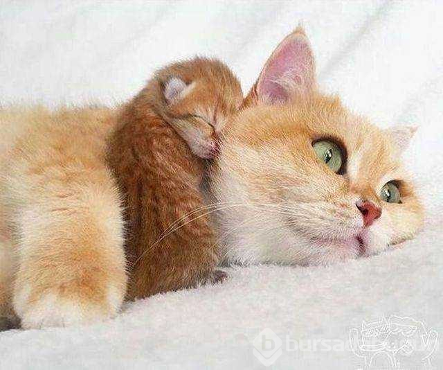 Günün en çok paylaşılan fotoğrafları
