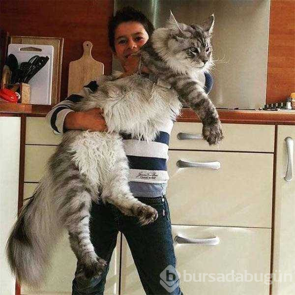 Günün en çok paylaşılan fotoğrafları

