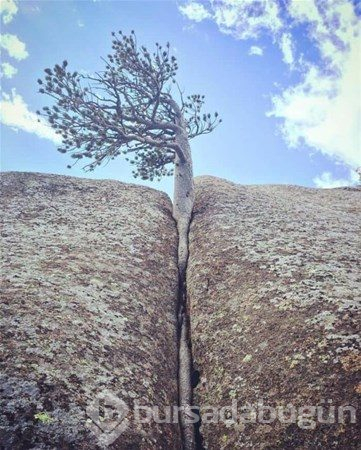 Bu fotoğraflarda photoshop yok!
