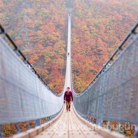 Bu fotoğraflarda photoshop yok!
