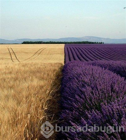 Bu fotoğraflarda photoshop yok!
