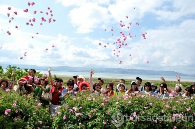 Turistlerin yeni gözdesi: Isparta gül bahçeleri