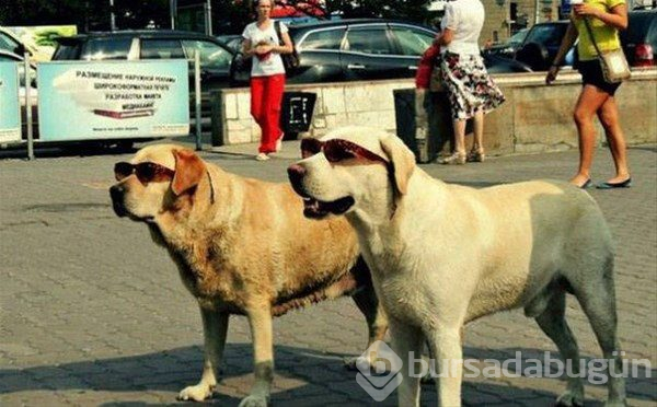 Gariplikler ülkesi Rusya