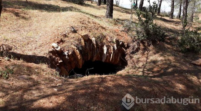 Define ararken esrarengiz yapı buldular