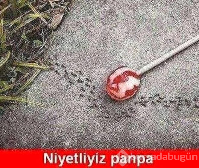Güldüren ramazan capsleri