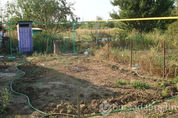 Doğadaki malzemeleri kullanarak akvaryum yaptı