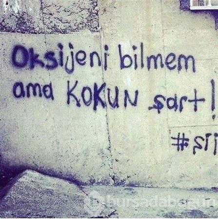 İlginç duvar yazıları