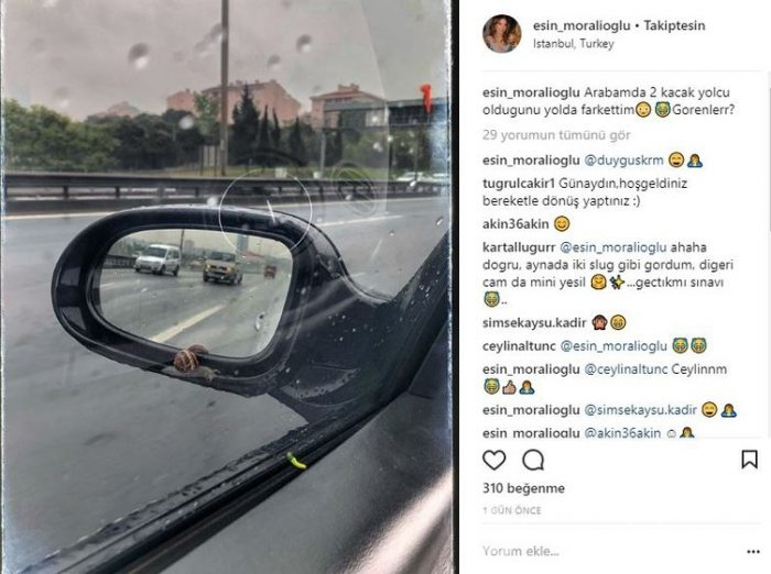 Ünlü isimlerin Instagram paylaşımları (16.05.2018)