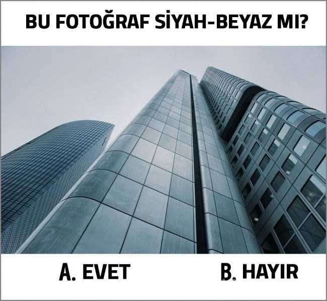 Hangi renk daha çok ilginizi çekti? (Zihin yaşını ortaya çıkaran renk testi)