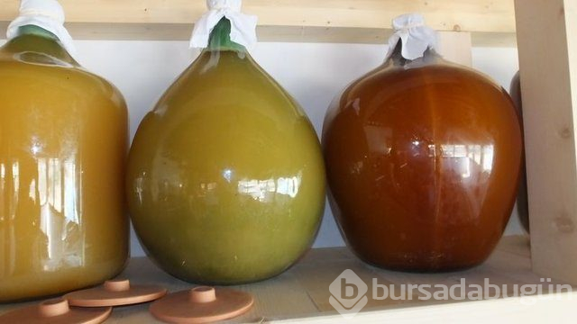 Kuran'da adı geçen vücut dostu besinler!