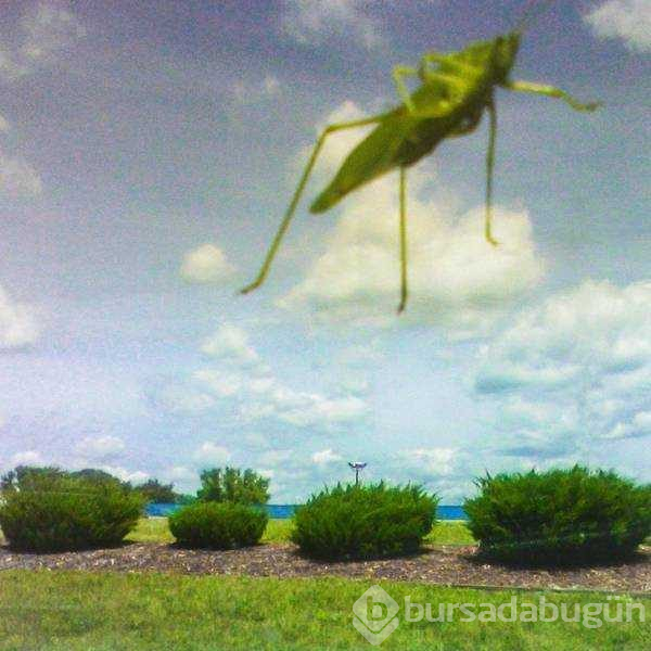 Günün en çok paylaşılan fotoğrafları