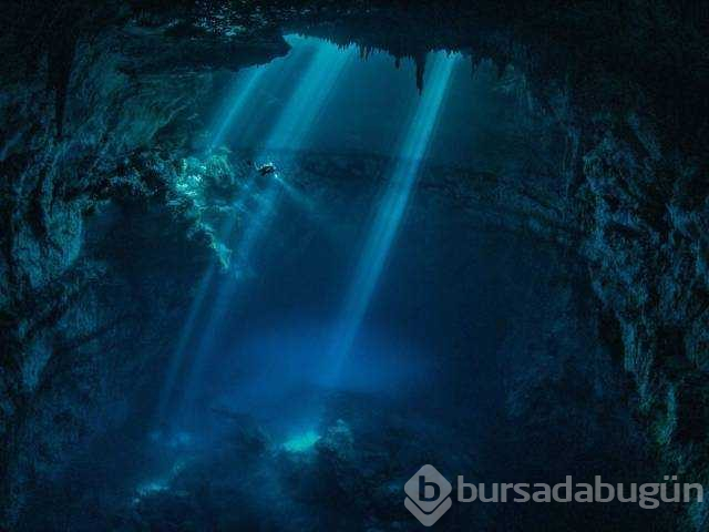 Günün en çok paylaşılan fotoğrafları