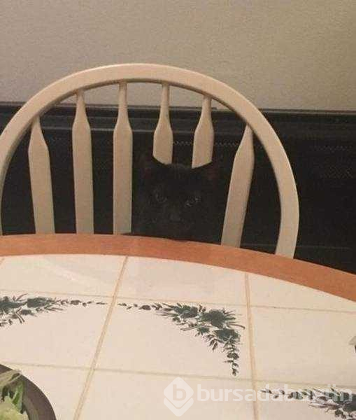 Günün en çok paylaşılan fotoğrafları