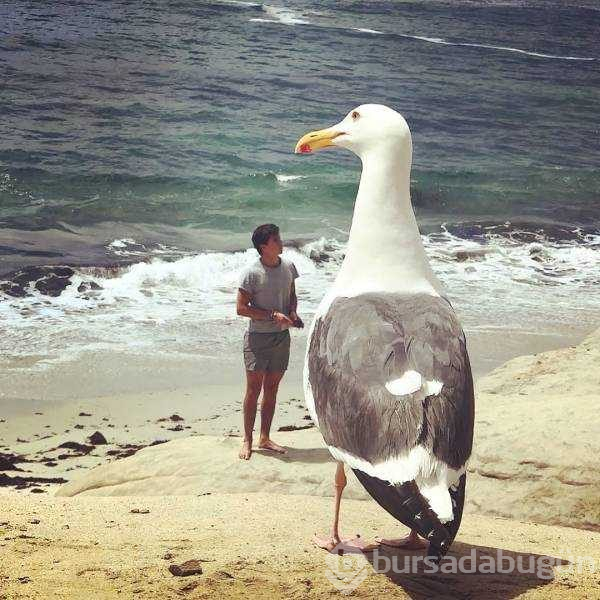 Günün en çok paylaşılan fotoğrafları