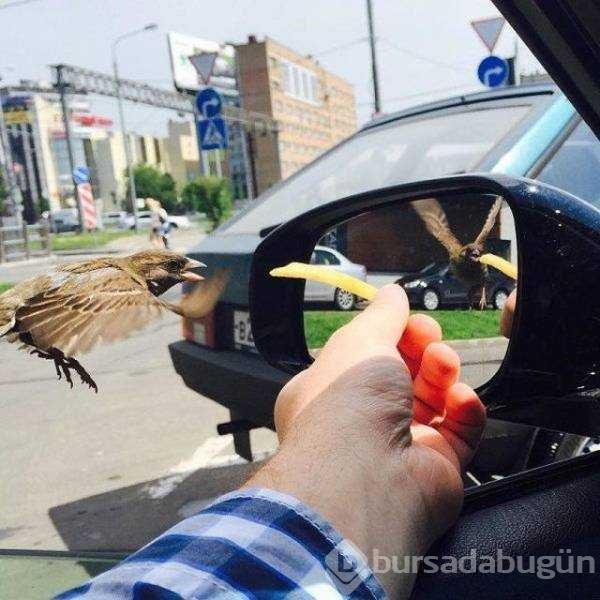 Günün en çok paylaşılan fotoğrafları