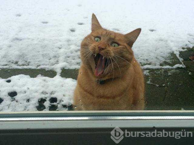 Günün en çok paylaşılan fotoğrafları