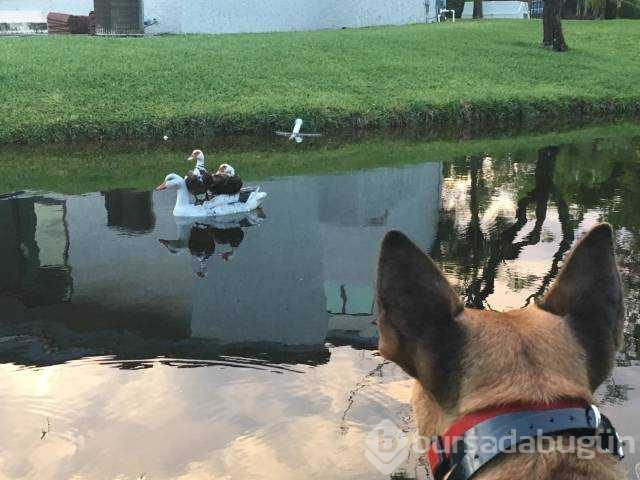 Günün en çok paylaşılan fotoğrafları