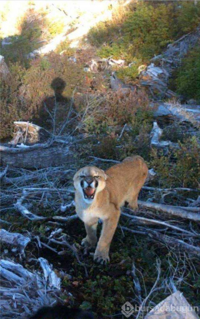 Günün en çok paylaşılan fotoğrafları