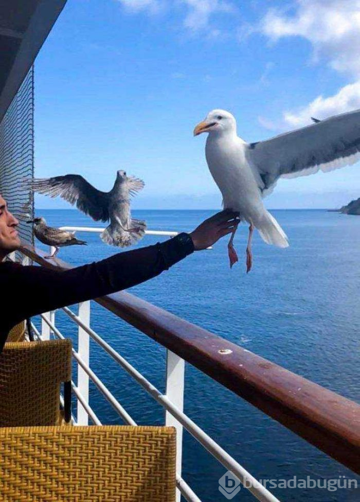 Günün en çok paylaşılan fotoğrafları