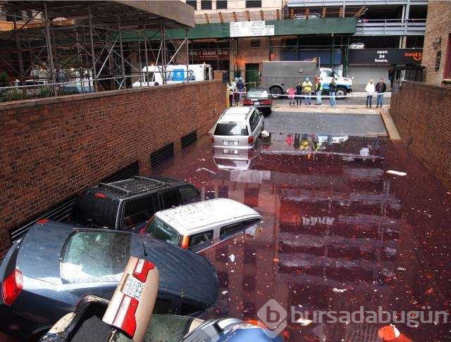 Günün en çok paylaşılan fotoğrafları
