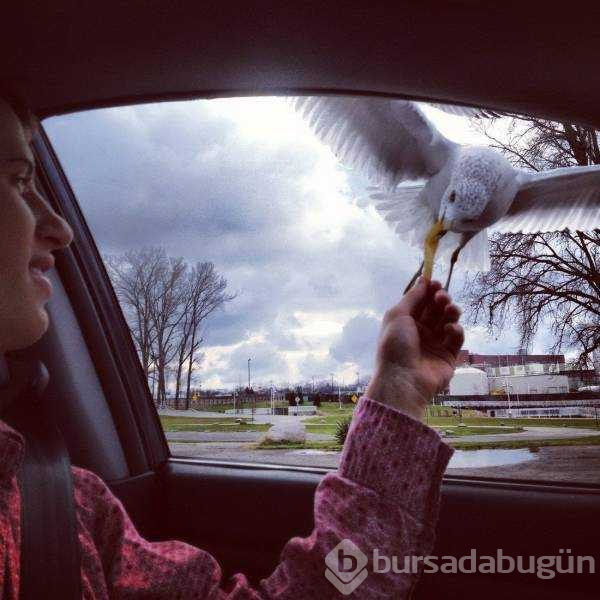 Günün en çok paylaşılan fotoğrafları
