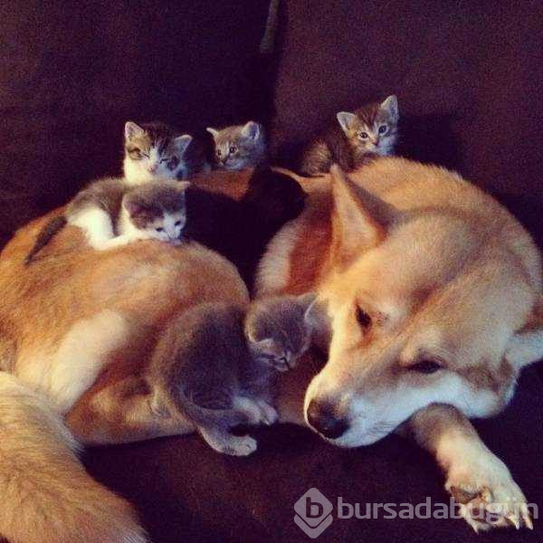 Günün en çok paylaşılan fotoğrafları
