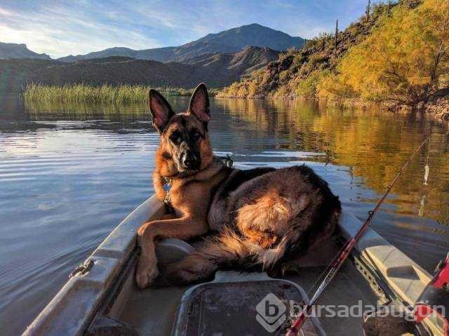Günün en çok paylaşılan fotoğrafları
