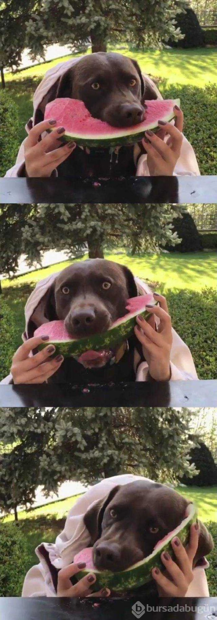Günün en çok paylaşılan fotoğrafları
