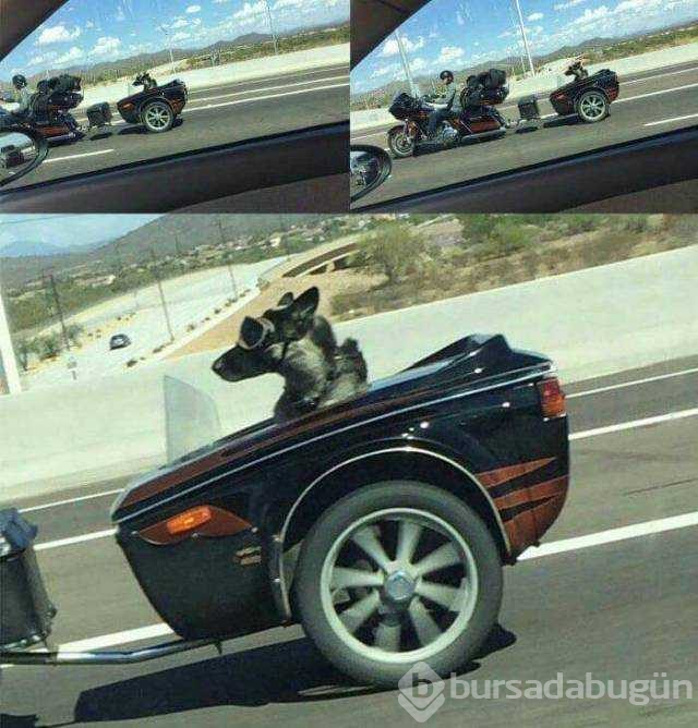 Günün en çok paylaşılan fotoğrafları
